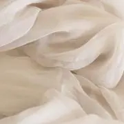 tの画像
