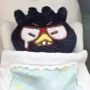 とまと(次回発送8/16)の画像