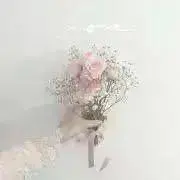 ハリネズミの画像