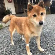 ひでさん