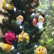 おこめの画像