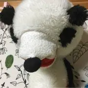 プント
