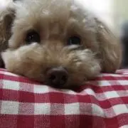 そらの画像