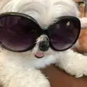 kinatenの画像