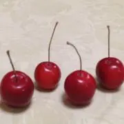 ポムの画像