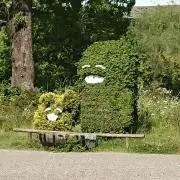 わんわんの画像
