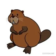 Beaver120！の画像