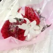 はるなな