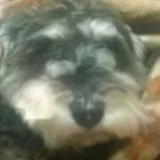 みぃちゃん