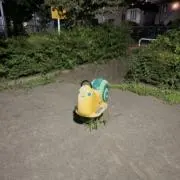 Jelly the HOUSNAIL-飫の画像