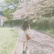 ひの画像