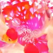 Image of flower