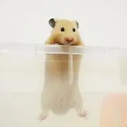 ののの( ¨̮ )