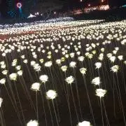 Arisaの画像
