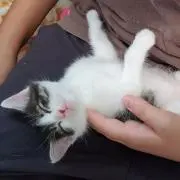 みん