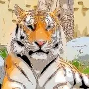 Tigerの画像