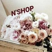 N'期間限定価格の画像