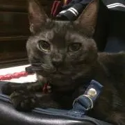 ひさっち