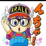 ⭐︎アラレプロフ必見⭐︎の画像