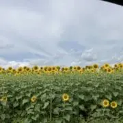 空の画像