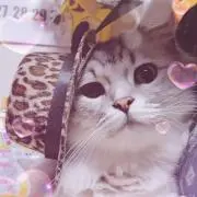 ひーとん
