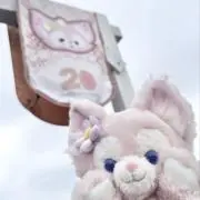 りぼんの画像