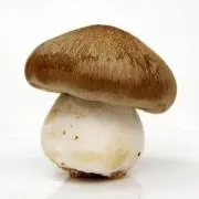 はい、山田です。の画像