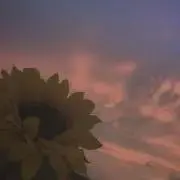 F (プロフ必読)