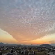tの画像