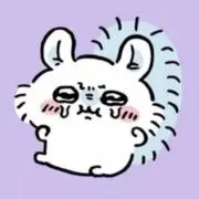 piniの画像