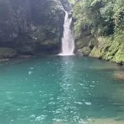 ニッシー