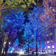 Rの画像