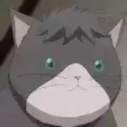 気まぐれウサちゃんの画像
