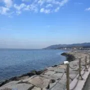 shyの画像