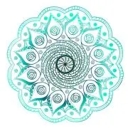 ♢♢キンの画像
