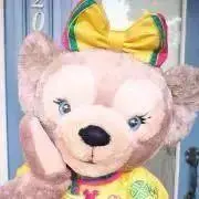 グリンダ☆の画像