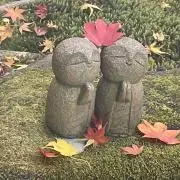 mitomitoの画像