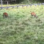 ヒロの画像