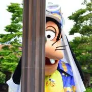 あっひょの画像