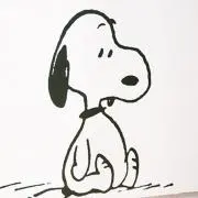 しょうちゃんの画像
