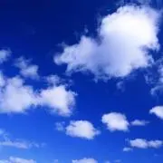 ⁂Fly⁂の画像