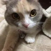 keroの画像