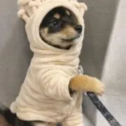 hikarukotaroの画像