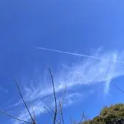 ✨の画像