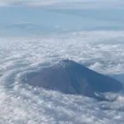 トドロキの画像