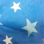 ルー