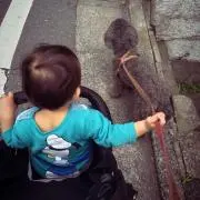 Qooの画像