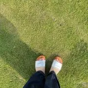 mamekoの画像