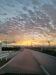 MOTOYOSHIの画像