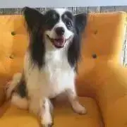 モコモコ